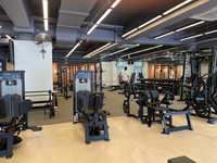 LongGlory Commercial professionnel Fitness équipement Muscle entraînement broche charge sélectorisée assis Pec Dec Fly arrière Deltoïde Machine