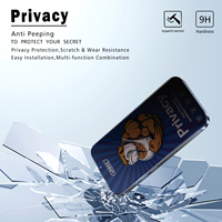 Pelindung Layar Kaca Tempered Anti Spy 0.4MM Berkualitas Tinggi untuk Iphone13 14 15 16 17 Pro Max Pelindung Layar Privasi Premium