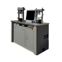 Fully Automatic 300kN Cement Compression Flexural Testing Machine Model DYE-300-10S 200mm Platen 220V/380V Input for Laboratory