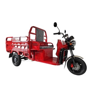 Triciclo NC05 EEC COC Xiamen 3plus Technology Co Ltd de Carrocería Abierta de 1000W para Adultos - Product Image 3