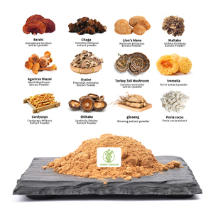 Tıbbi mantar kompleksi 10 in 1Hebs kapsül Maitake Chaga Lions Mane Reishi Cordyceps özü mantar tozu - Product Image 3