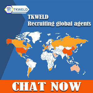 Máquina de Soldar Portátil MMA con Inversor IGBT y Motor de CC de Estilo Europeo FENGLING - Product Image 5