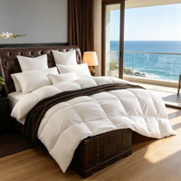 Couette personnalisée avec logo, 70 % duvet de canard blanc, insert de couette de luxe pour hôtel, couette chaude d'hiver, noyau de couette, fournisseur de literie