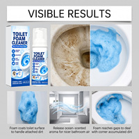 Nettoyant WC désodorisant sans logo 60 ml, éliminateur de taches, parfum océan frais, mousse bleue