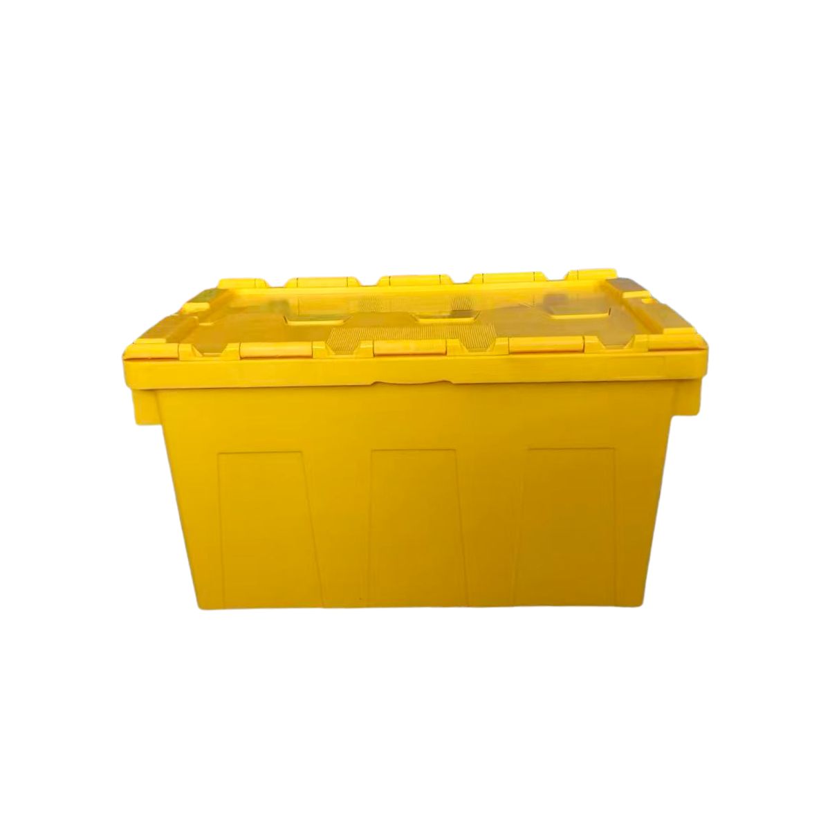 Jaune
