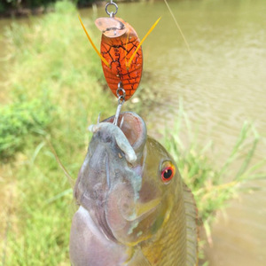 Diseño de escarabajo Señuelo de pesca de insectos Cebo duro 3,5 cm 4G Señuelos de pesca de superficie Bass Señuelo perfecto para huelgas agresivas - Product Image 3