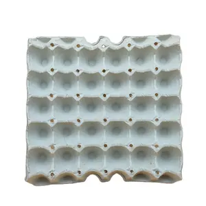 Eco Friendly Paper Pulp 30 Holes Egg Tray For Sale