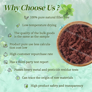 Toptan fiyat organik Acai Berry özü doğal brezilya Acai Berry meyve suyu tozu - Product Image 2