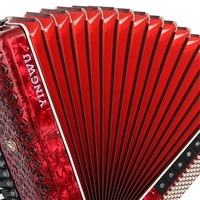 Accordéon portable professionnel Yingwu 120 basses 3 chorales mini Parrot avec clavier en bois et sangles