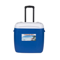 Glacière portable à roulettes en plastique OEM rigide avec poignée