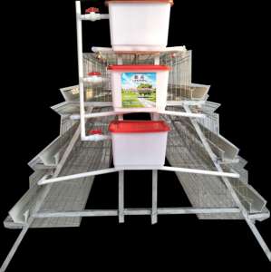 Porta Automatica per Pollaio di Piccole Dimensioni in Vendita - Product Image 2