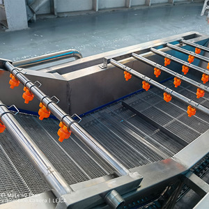 Dây chuyền chế biến rửa và làm khô trái cây thương mại đa chức năng, máy rửa rau mùi, máy rửa cà chua bằng bọt khí - Product Image 6