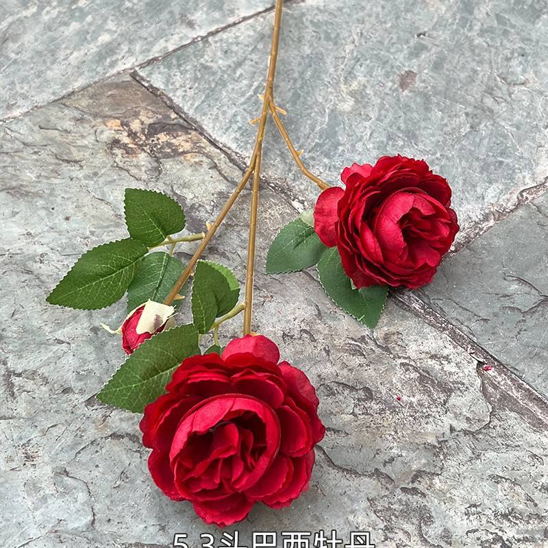 5 #3หัวดอกโบตั๋นบราซิลสีแดง