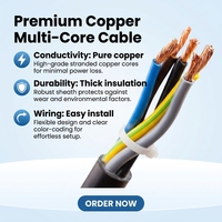 Cable de Cobre Libre de Oxígeno RVV 60227 IEC 53, Cable de Alimentación Eléctrica Multifilar Redondo Flexible con Revestimiento de PVC