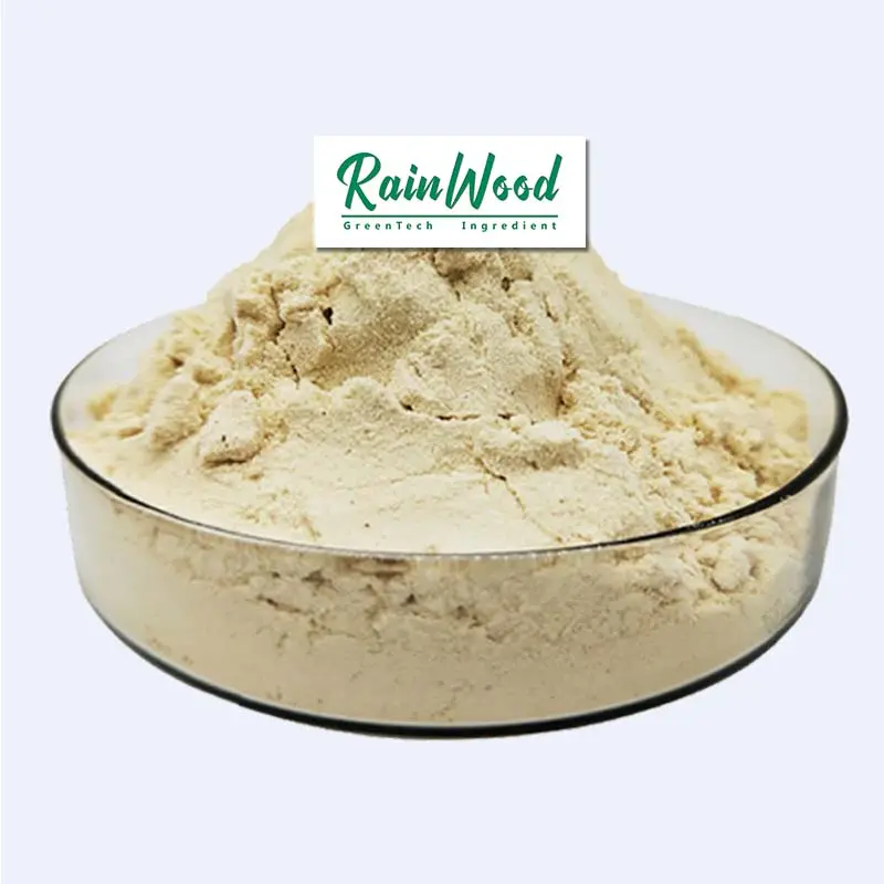 Rainwood improve immunity chinese natural organic ginsenosides powder 80% siberian root american korea red panax ginseng extract