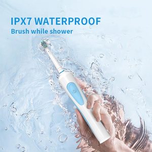 <span class=keywords><strong>Bestlife</strong></span> K1619S Oscillateur de brosse à dents électrique oscillant rechargeable avec charge directe inductive pour adulte - Product Image 5