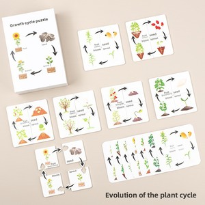 Tarjetas de Madera del Ciclo de Vida de Insectos, Juguete Educativo Montessori de Ciencia STEM para Niños, Rompecabezas de Emparejamiento de Etapas del Ciclo de Vida Animal - Product Image 5