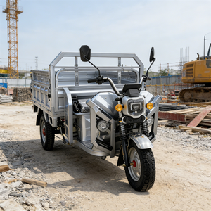 รถสามล้อไฟฟ้าบรรทุกสินค้า 1.3 เมตร 650 วัตต์ ราคาถูกจากจีน สำหรับประเทศไนจีเรีย - Product Image 6