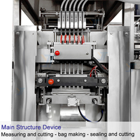 Machine d'emballage automatique électrique haute performance personnalisée multi-voies pour sachets de snus et pochettes de nicotine en plastique