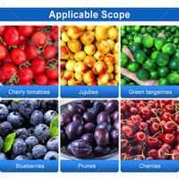 ORME Tomaten Ui Citrusvruchten Sorteermachine Dadelpalm Blauwe Bes Sorteermachine Dadelpreinigings- en Sorteermachine