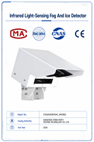 Module de visibilité de surface routière ASHUR RD3000D OEM RS485 4-20mA CE IP67 pour intégration en station météo