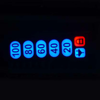 Afficheur graphique à LED personnalisé professionnel pour niveau de batterie de rasoir, module à 5 segments pour compteur de charge de rasoir électrique