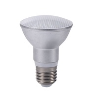 COB E27 Par20 Waterpoof Led Par30 lampe Par 30 Led ampoule Par38 Led lumières