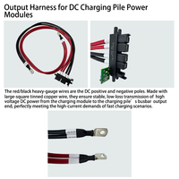 Harnais de câblage certifié IATF16949, sortie haute intensité 1000V DC, pour module de borne de recharge de véhicules électriques