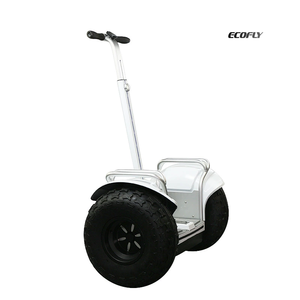Nouveau design, trottinette auto-équilibrante à double capteur, planche à roulettes de plage de 19 pouces pour adultes et enfants, MTRS-DGL Self-bala - Product Image 2