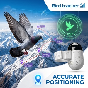 Bague de patte GPS pour pigeon la plus légère au monde avec fermeture sans outil et boîtier IP67 pour les fanciers et les éleveurs - Product Image 1
