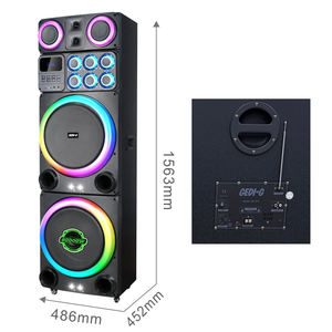 Système de sonorisation pour basse <span class=keywords><strong>en</strong></span> bois GD-1510 200W, moniteur de scène actif professionnel avec deux microphones sans fil - Product Image 4