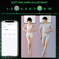 Kasur Elektrik Modern Mewah yang Dapat Disesuaikan dengan Fitur Pemanas & Tahan Lama, Kontrol Cerdas untuk Kamar Tidur Hotel, Sekolah, Rumah Sakit