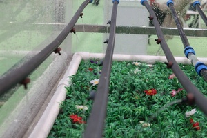 Système d'irrigation goutte à goutte agricole en ligne à compensation de pression avec <span class=keywords><strong>goutteur</strong></span> à <span class=keywords><strong>bouton</strong></span> d'eau, Chine - Product Image 5