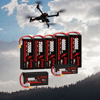 Batterie semi-solide Zeee 450Wh/kg 8S 29.6V 12Ah 16Ah 18Ah 22Ah 25Ah 30Ah 45Ah 50Ah grande capacité pour drone UAV FPV