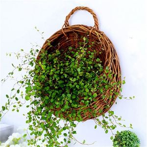 Adornos de mimbre para porches Cestas colgantes de cáscara de coco Cesta de animales de caña de ratán Extensores de plantas Pared Gris Grande Cristiano - Product Image 4