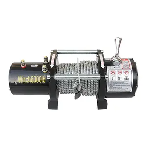 2000lbs Electric Winch With Wire Rope Small Electric Capstan Winch