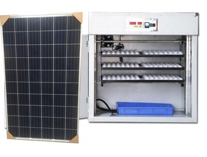 Lồng Ấp Trứng Năng Lượng Mặt Trời Cho Gia Cầm Nhà Sản Xuất Trung Quốc Pin Năng Lượng Mặt Trời 500 - Product Image 4