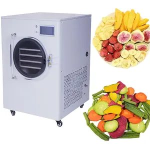 most popular Stainless steel Industrial high quality freeze dryer 1.1kw freeze dryer machine for candy