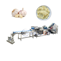 Automatische knoflookpasta verwerkingslijn: complete schil-, was-, crush-, meng-, vul- en verpakkingsinstallatie