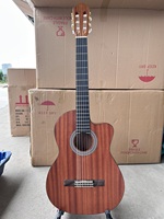 Aiersi Brand Factory Price Wholesale All Mahogany Nylon String 39 Inch Electric Classical Guitar with 7545 Pickup