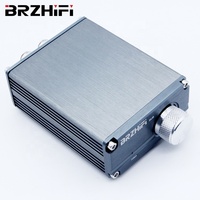 BRZHIFI-AMPLIFICADOR DE AUDIO B3 TPA3116, Mini Mono Digital, Subwoofer de alta potencia, 100W, sonido estéreo, HiFi, frecuencia completa