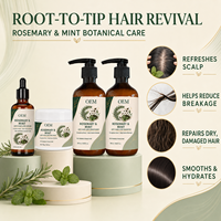 Ensemble Shampooing et Après-Shampooing Anti-Chute au Romarin et à la Menthe, Marque Blanche, Vente en Gros, Végan, Sans Sulfate, Traitement Nourrissant du Cuir Chevelu