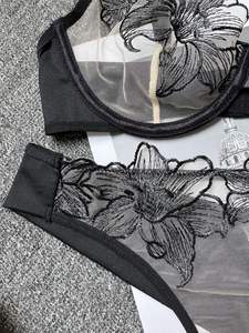 Conjunto de Lencería Sexy con Bordado Floral y Malla Transparente, Sujetador Push-Up y Braguita, Lencería Íntima para Mujer - Product Image 6