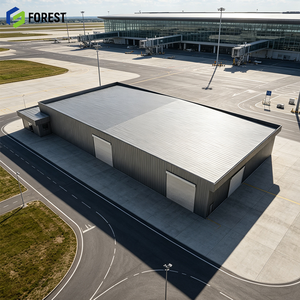 Hangar Modular Prefabricado de Acero de Grado Industrial para Aviones, Estructura Metálica de Gran Resistencia para Instalaciones de Aviación - Product Image 1