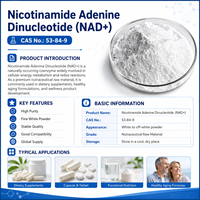 Pure Life 99% NAD+ Nicotinamide Adenine Dinucleotide (CAS 53-84-9) Poudre blanche, complément alimentaire, matière première de Zhejiang