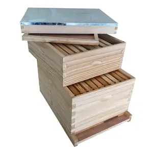 Chinesischer Bienenstock komplett mit Rahmen ZWEI Schicht Holz Bienenstock Langs troth 10 Rahmen Bienenstock Mesh