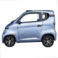 Voiture électrique japonaise à deux places, berline, moteur unique, 45 km/h, certifiée CEE, transmission intégrale/arrière, sièges en cuir, galerie de toit métallique, arrière