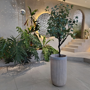 Vaso per Fiori Americano Contemporaneo Ecologico Leggero Biodegradabile Durevole per Interni ed Esterni Extra Large - Product Image 4