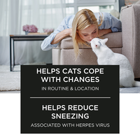 Complément Probiotique Apaisant en Poudre Premium Avancé pour Chats – Favorise un Comportement Calme – Sans Remplisseurs – Sûr pour Chats Seniors – Sans Céréales