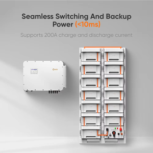 อินเวอร์เตอร์พลังงานแสงอาทิตย์แบบไฮบริด 125kW พร้อมระบบจัดเก็บพลังงาน 80kW 100kW และการกำหนดค่าระบบที่ยืดหยุ่น Solis 80-125KW Hybrid Solar Hybrid Inv - Product Image 4
